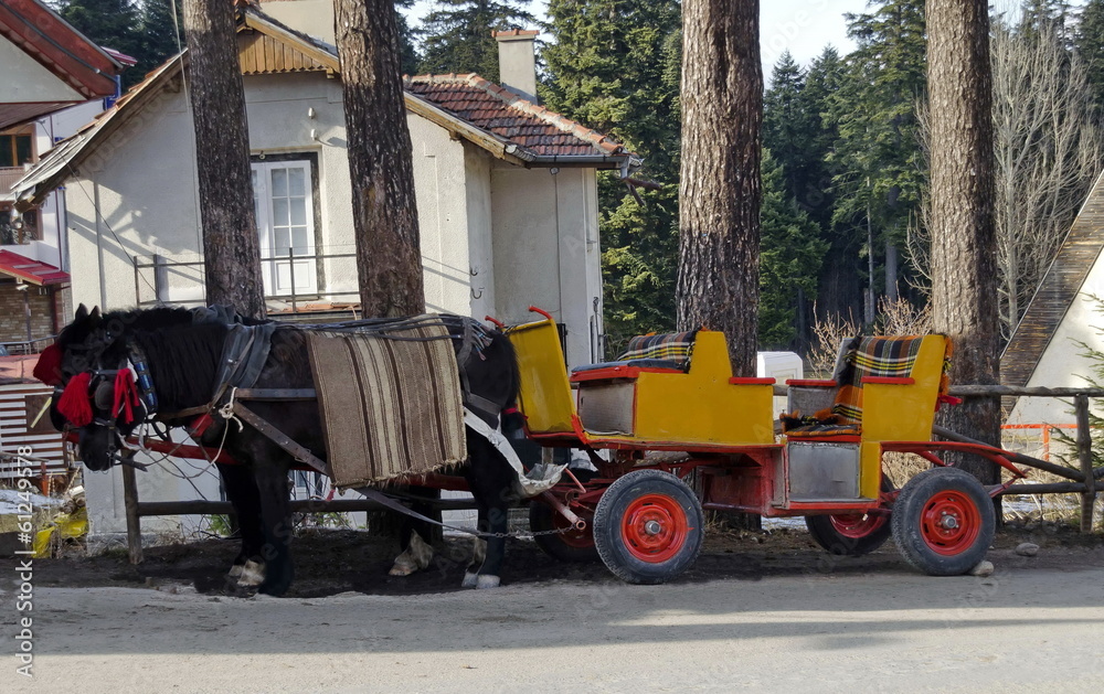 Old traditional carriage  with horse waiting clients