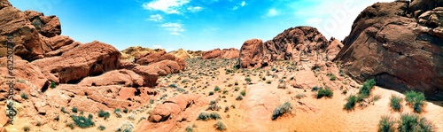 Desert Panorama