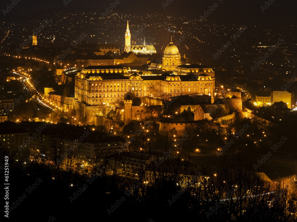 Obraz premium Buda Castle