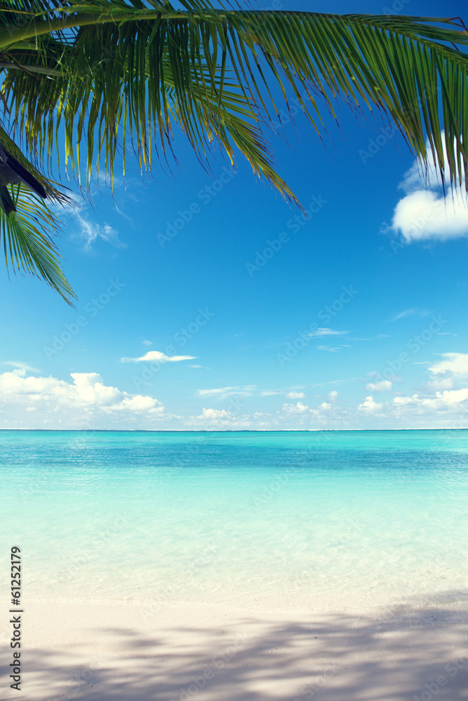 Naklejka premium Morze Karaibskie i palmy kokosowe