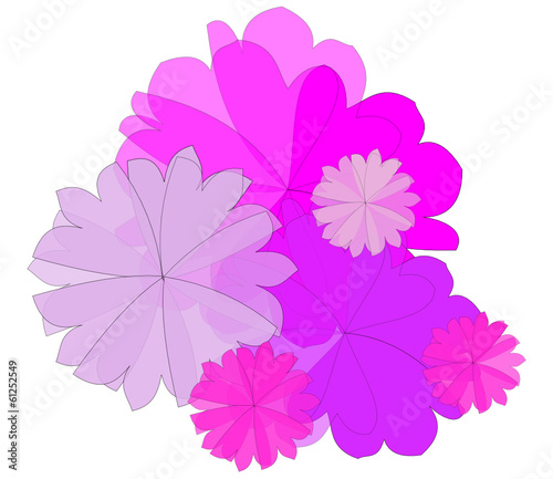 fiori rosa