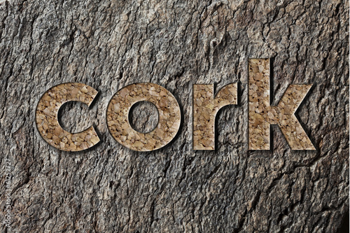 Cork / cork name carved on a cork tree trunk photo