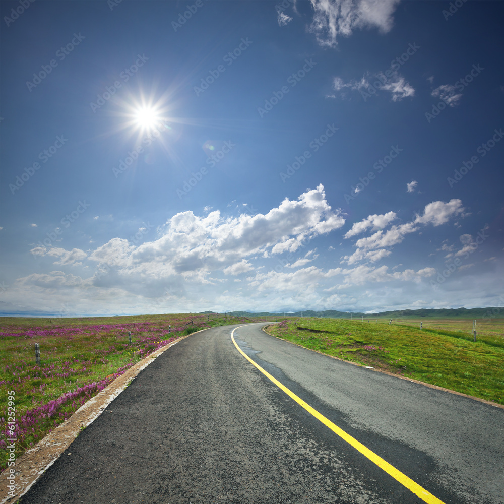 Fototapeta premium asphalt road through the green field and clouds on blue sky in s