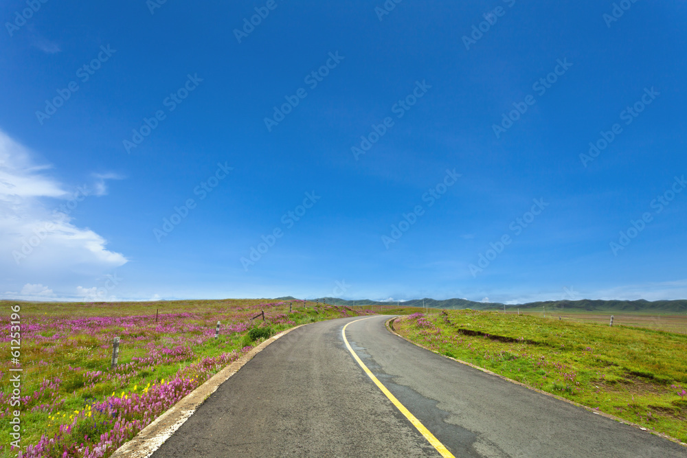 asphalt road through the green field and clouds on blue sky in s