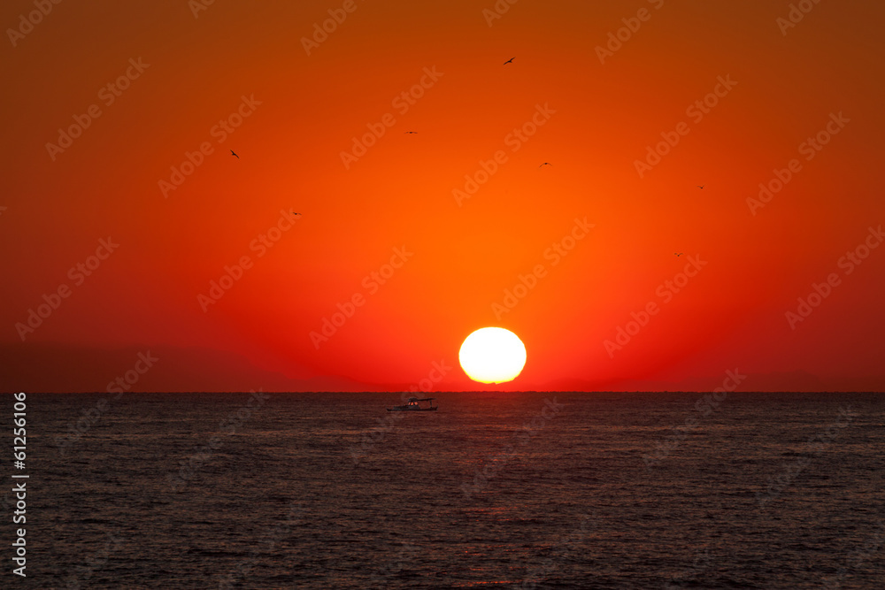 Sunrise background with boat and birds.