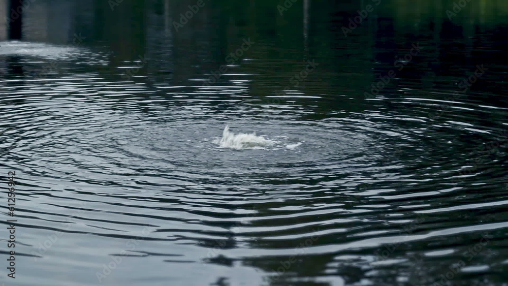 Bubbling water on the surface of a lake Bubbling water on the surface of a lake