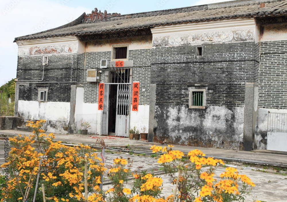 Obraz premium village in spring, Hong Kong