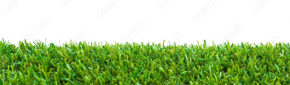 Close up of golf green grass - obrazy, fototapety, plakaty 