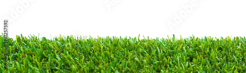Close up of golf green grass