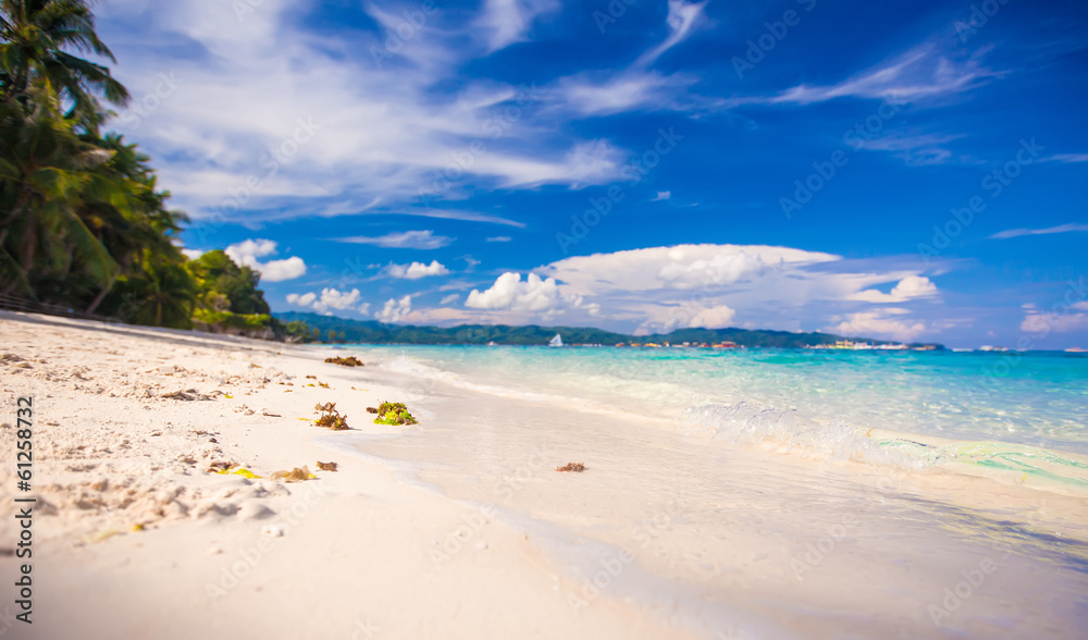 Perfect white beach with green palms and turquoise water Perfect white beach with green palms and turquoise water