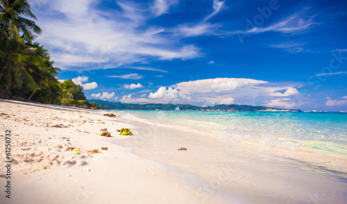 Perfect white beach with green palms and turquoise water