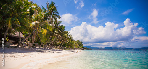 Panoramic view of perfect beach with green palms,white sand and