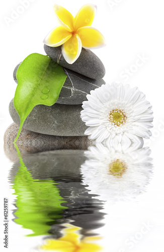 Fototapeta Naklejka Na Ścianę i Meble -  composition nature relax, galets, fleurs, feuille