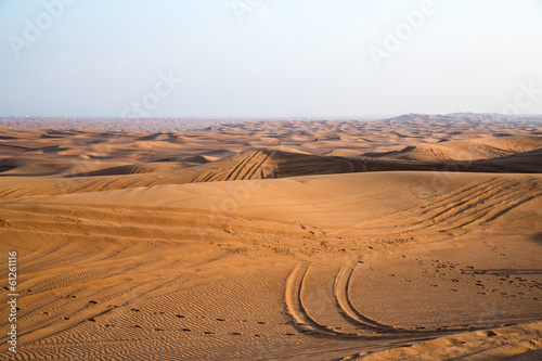 Car tracks in the desert in the desert