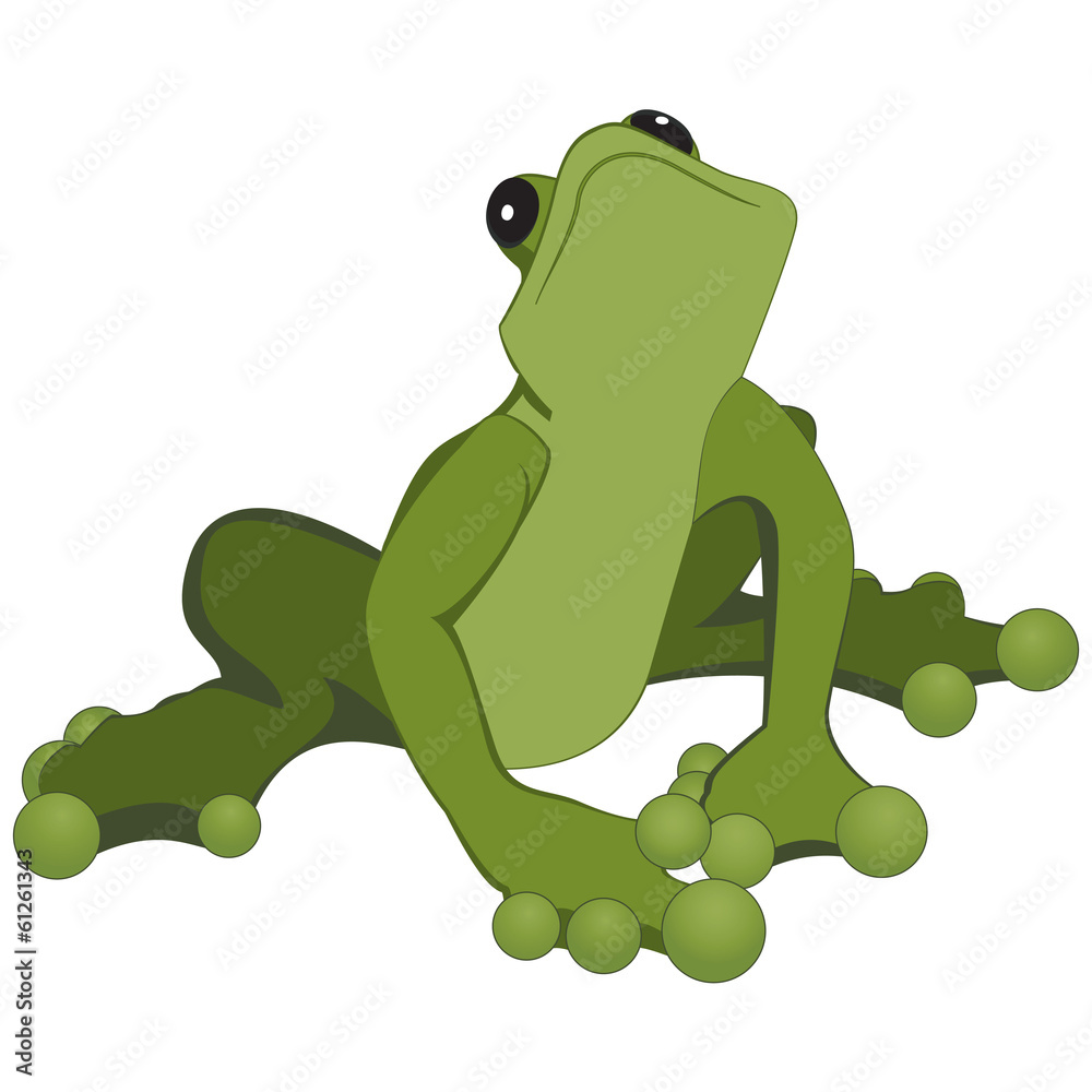 Fototapeta premium Frog