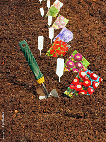 Sowing seeds in the soil in the garden