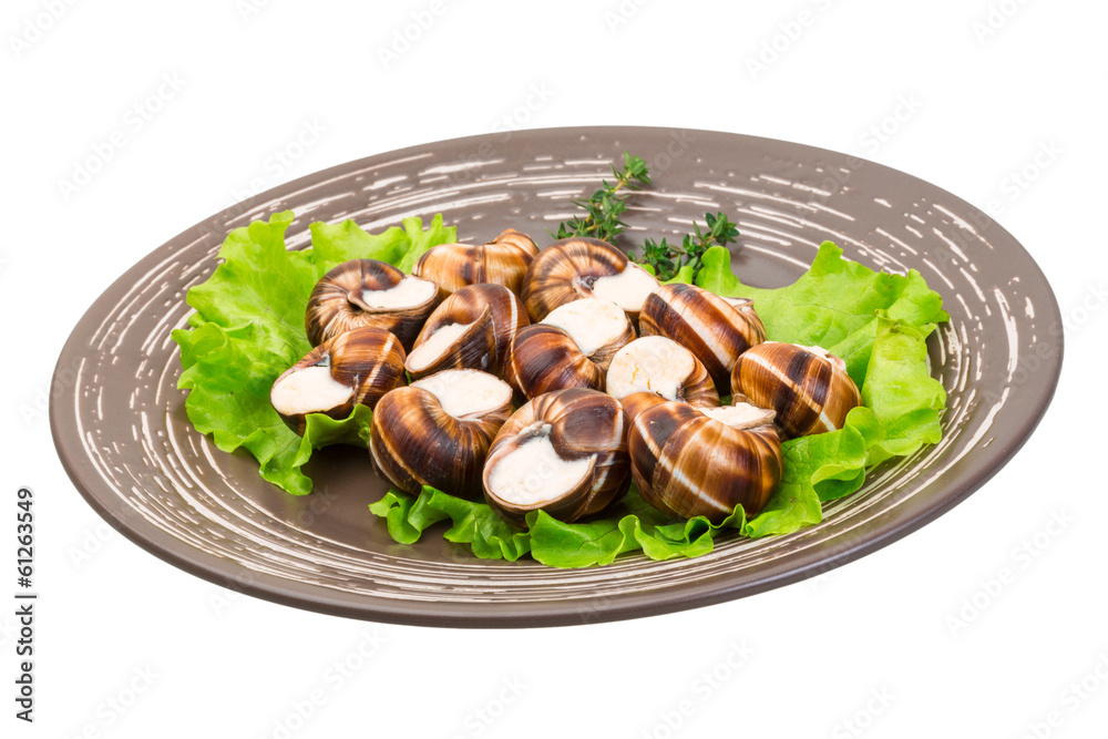 Escargot Escargot