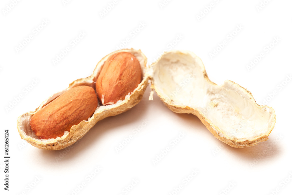 Open Peanut Open Peanut