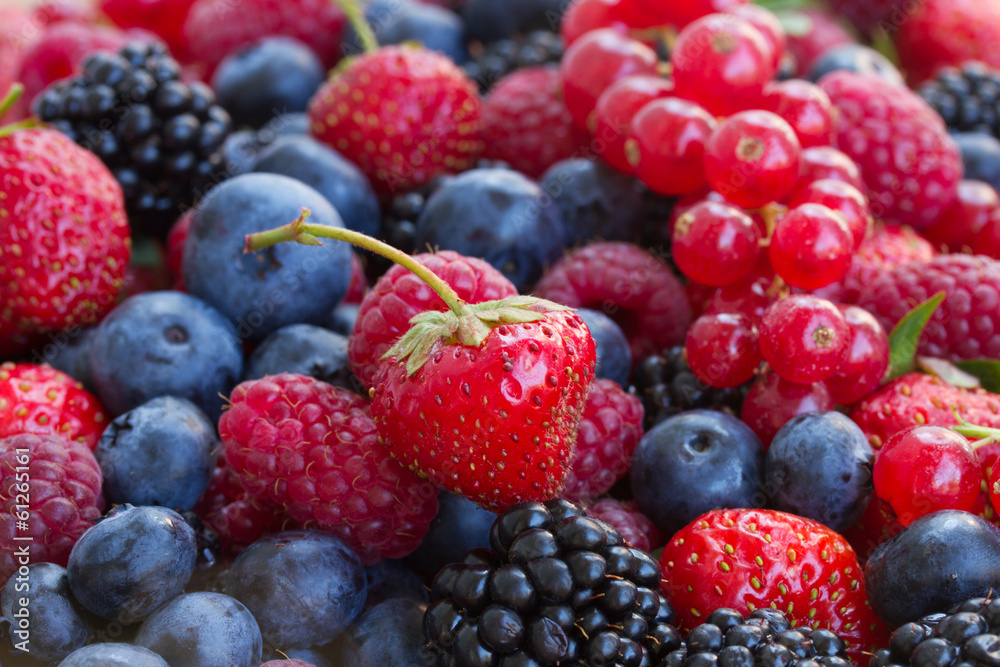 bluberry, raspberry, blackberry and red currrant bluberry, raspberry, blackberry and red currrant