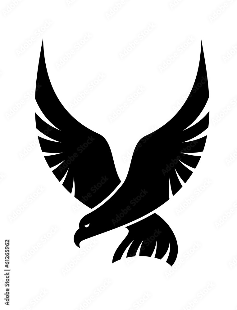 Obraz premium Swooping falcon bird