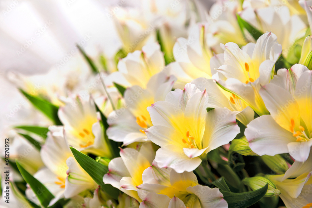 Bouquet of beautiful flowers. Bouquet of beautiful flowers.