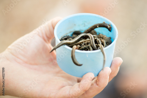 Fisherman holding a box with worms.