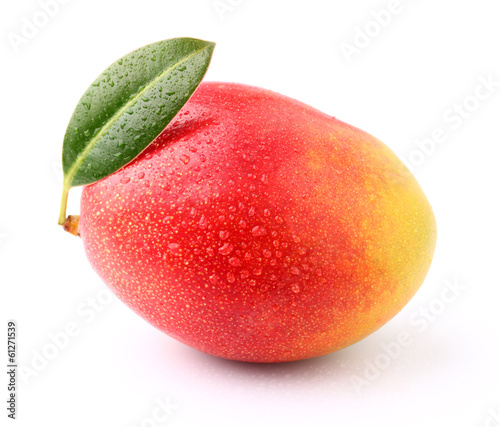 Ripe mango with drop water