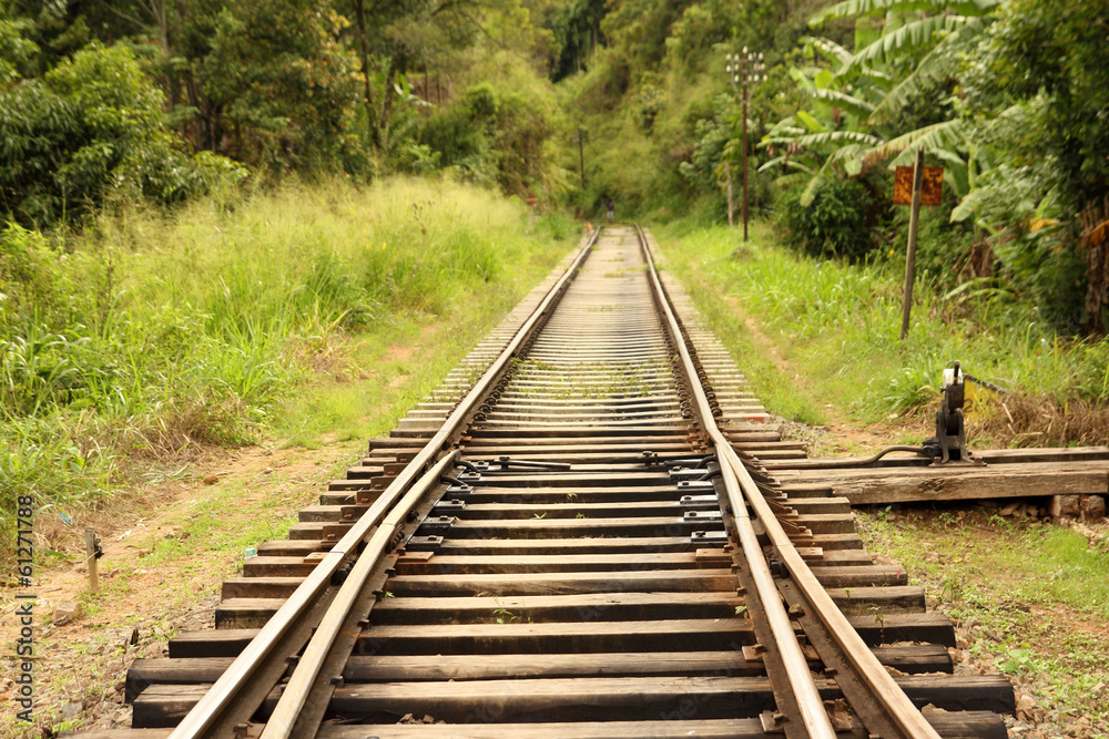 rail tracks in jungle