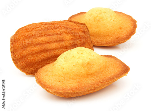 Madeleine - French Madeleine photo