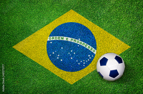 Fu  ball WM Weltmeisterschaft 2014 Brasilien - Fahne auf Rasen