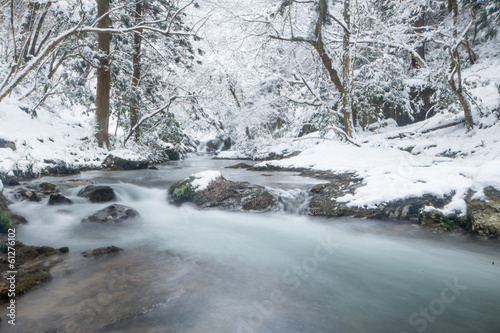 雪と渓流 © 歌うカメラマン