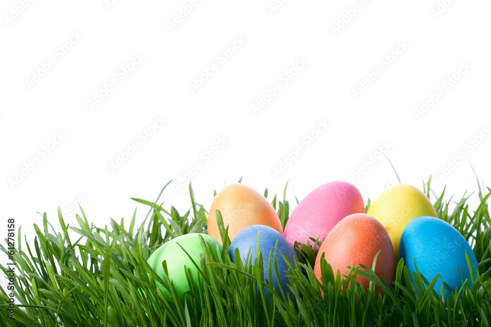 Obraz premium easter color eggs on green grass