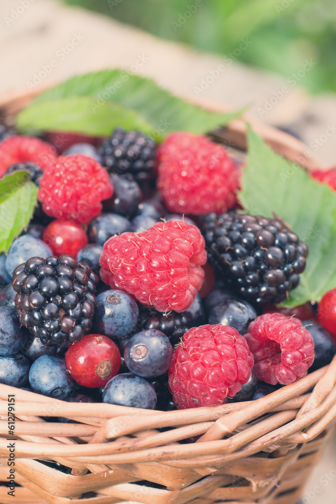 Assorted wild berries Assorted wild berries