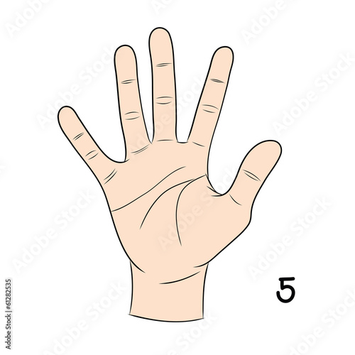 Sign language ,number 5