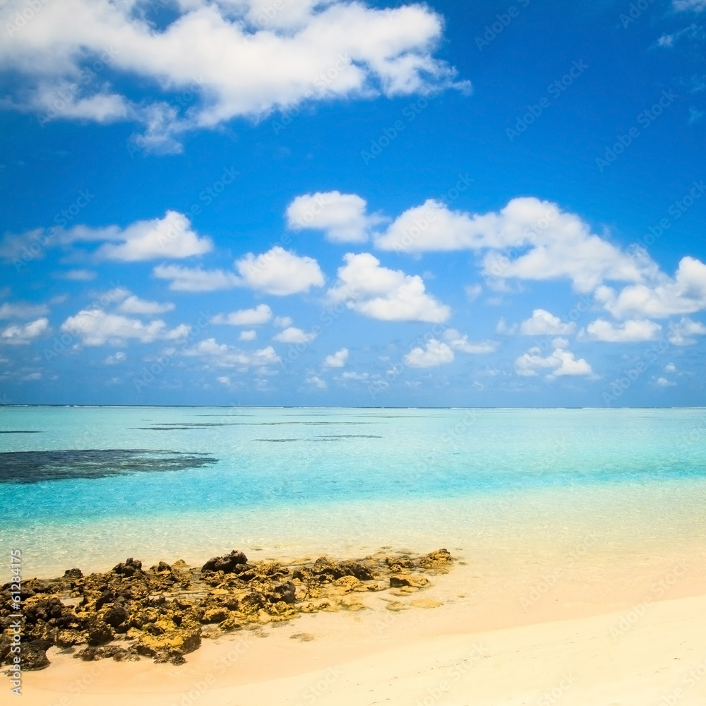 Fototapeta premium beautiful tropical beach with stove benches, Maldives