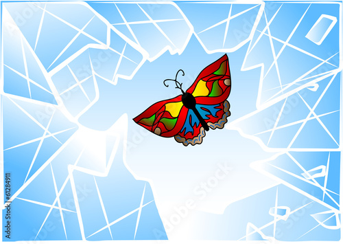 butterfly smashed window
