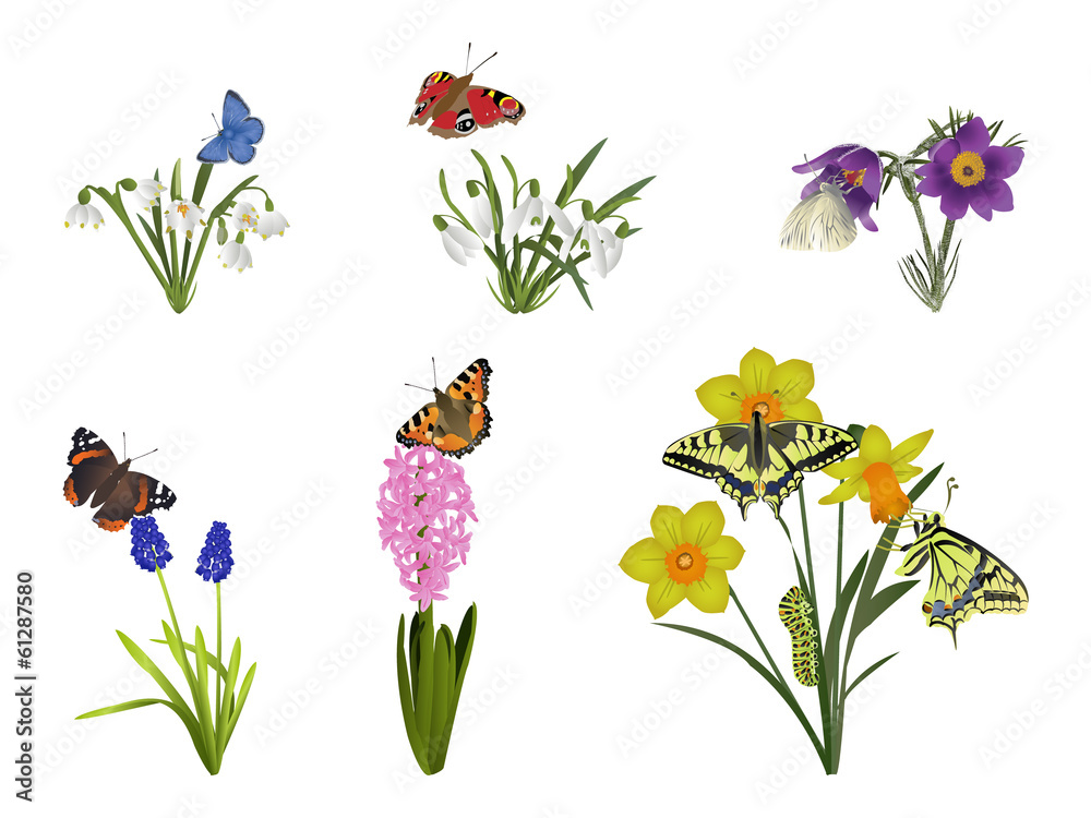 Fototapeta premium Spring nature