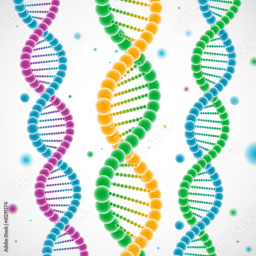 Colorful DNA dtrands