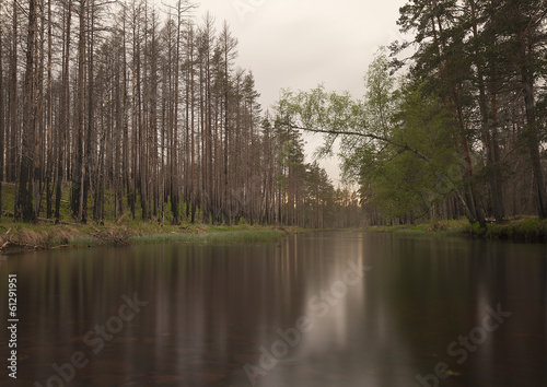River in Sweden photographed with long exposure