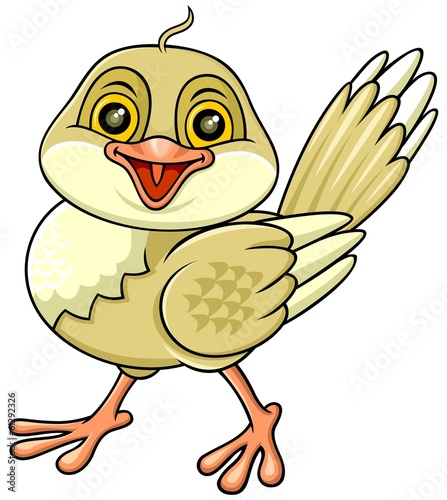 cartoon funny bird 02