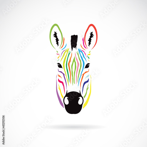 Vector image of an zebra head colorful