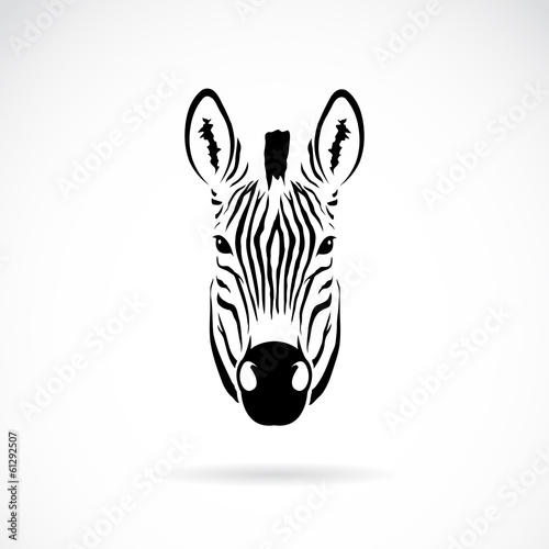 Vector of an zebra head design. Animals.