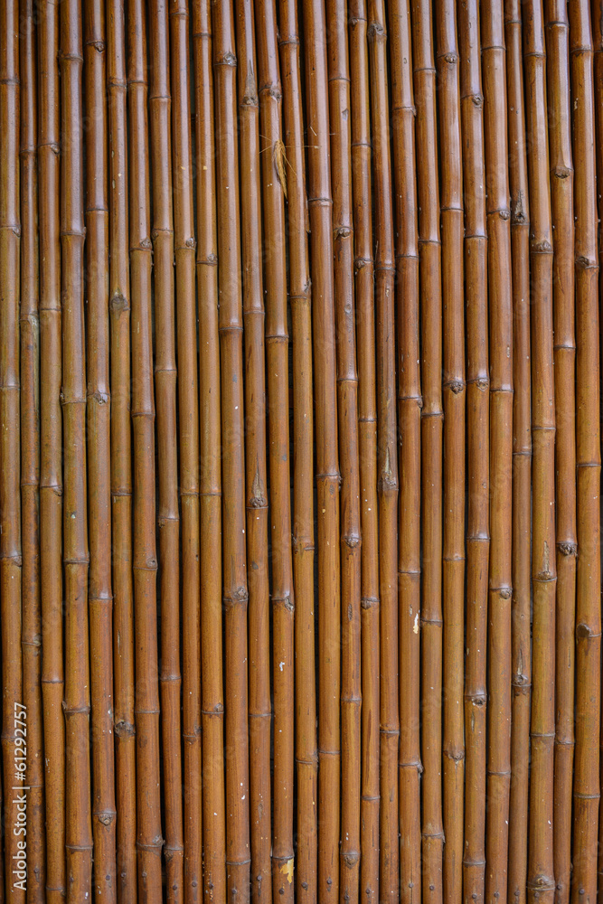 Fototapeta premium Bamboo wall background