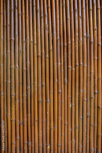 Bamboo wall background