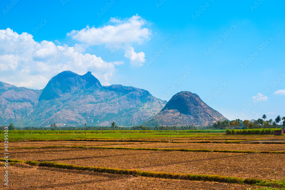 beautiful landscape of mountains and plantations with white bird beautiful landscape of mountains and plantations with white bird