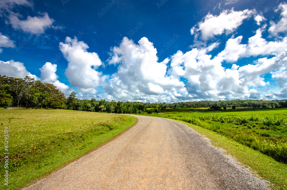 asphalt road through the green field and clouds on blue sky asphalt road through the green field and clouds on blue sky