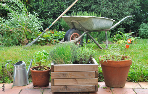 herbes aromatiques en terrasse