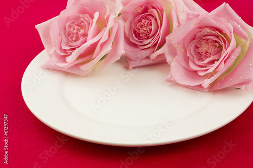 ピンク薔薇と白いお皿