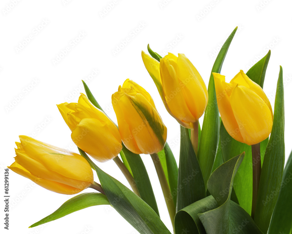 Flower bouquet from yellow tulips isolated on white background. Flower bouquet from yellow tulips isolated on white background.