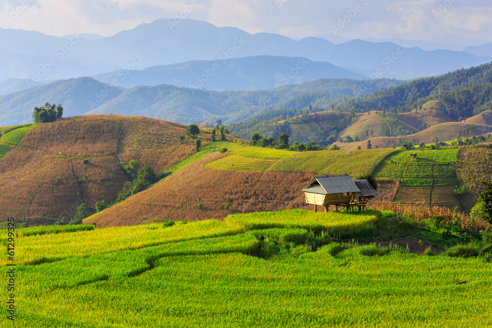 Fototapeta premium Terraced Paddy Field in Mae-Jam Village , Chaingmai Province , T